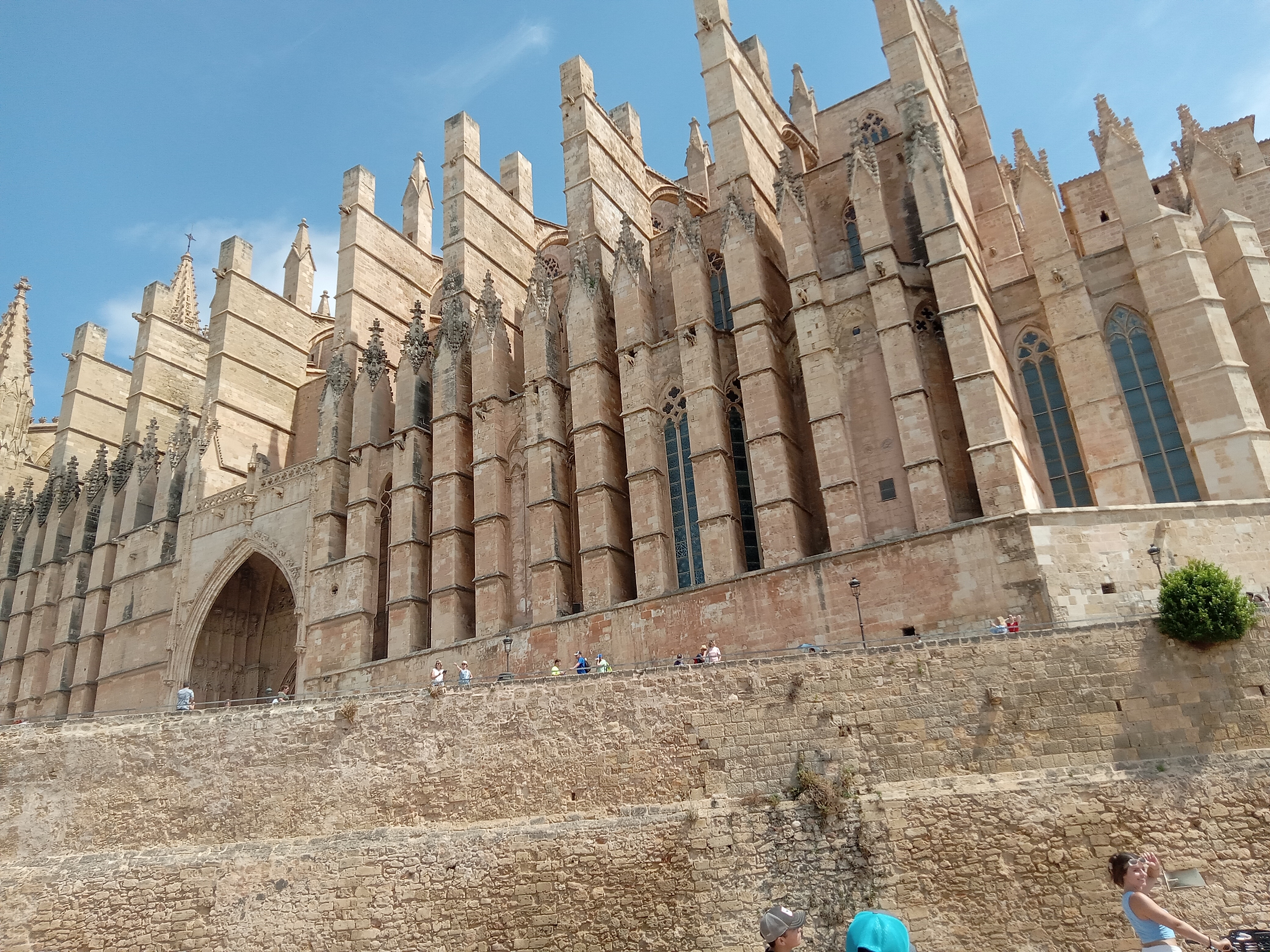 Catedral-Basilica de Santa Maria de Mallorca